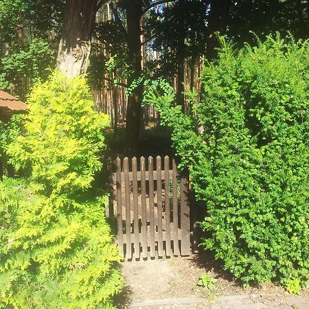 Biggis Waldpension Michendorf Buitenkant foto